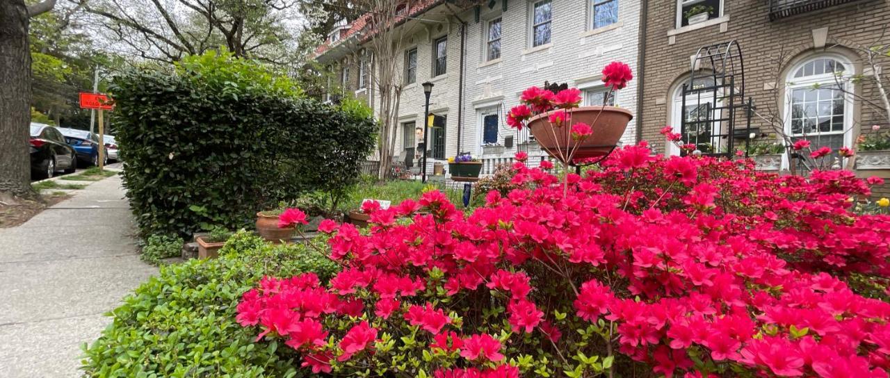 路旁住宿加早餐旅馆 埃利科特城 外观 照片